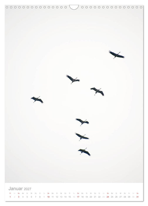 Der Flug der Kraniche (CALVENDO Wandkalender 2027)