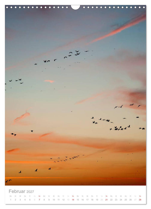 Der Flug der Kraniche (CALVENDO Wandkalender 2027)