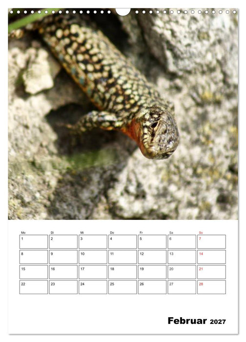 Heimische Wildtiere Terminplaner (CALVENDO Wandkalender 2027)