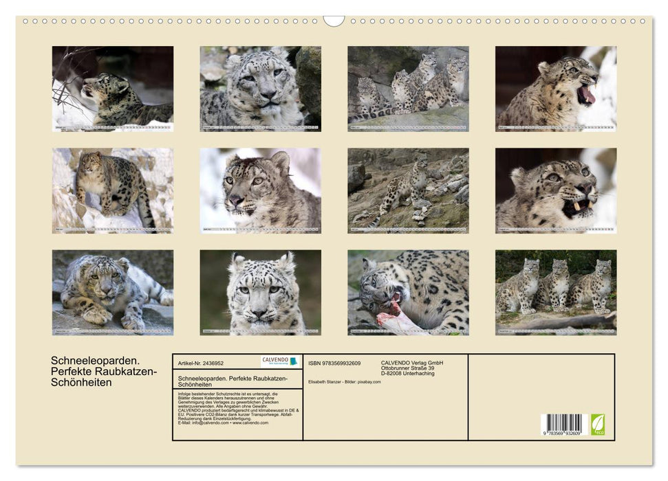 Schneeleoparden. Perfekte Raubkatzen-Schönheiten (CALVENDO Wandkalender 2027)