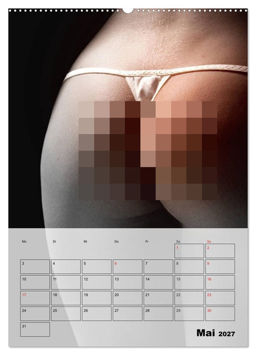 Erotik. Sinnliche Faszination (CALVENDO Wandkalender 2027)