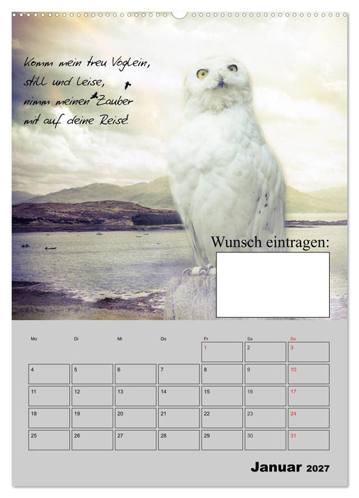 Wunsch- und Zauberkalender (CALVENDO Wandkalender 2027)