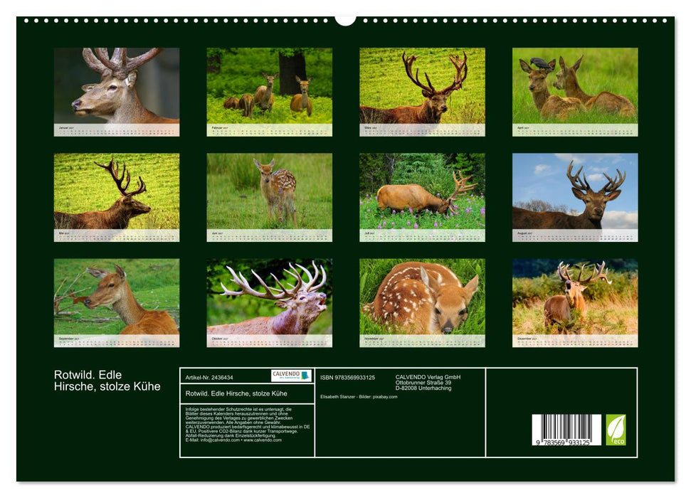 Rotwild. Edle Hirsche, stolze Kühe (CALVENDO Premium Wandkalender 2027)