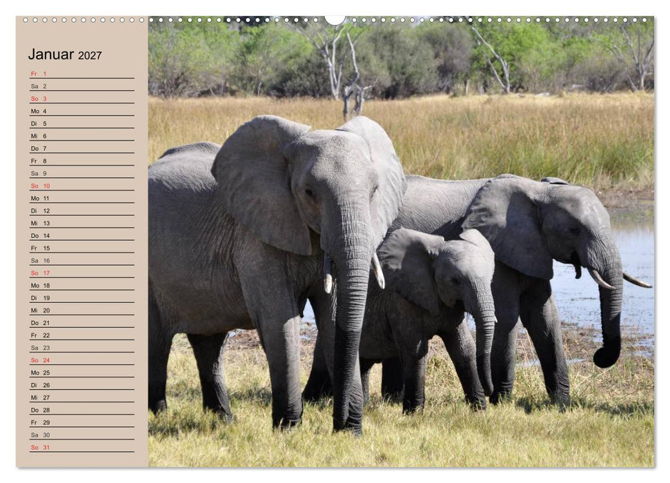 Elefanten in freier Wildbahn (CALVENDO Wandkalender 2027)