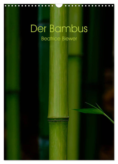 Der Bambus (CALVENDO Wandkalender 2027)