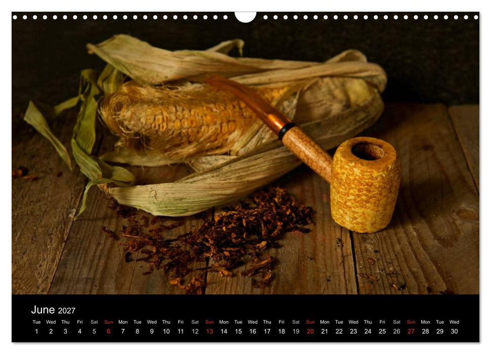 Pipes (CALVENDO Monthly Calendar 2027)