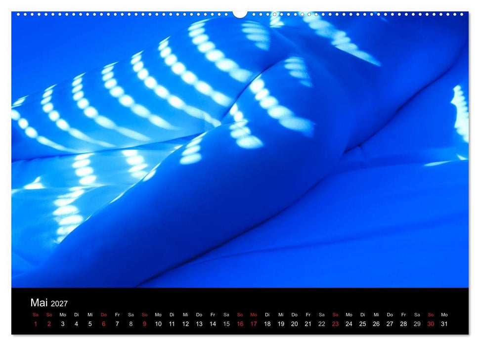 MÄNNER - AKTE ZWISCHEN KRAFT UND SINNLICHKEIT (CALVENDO Wandkalender 2027)