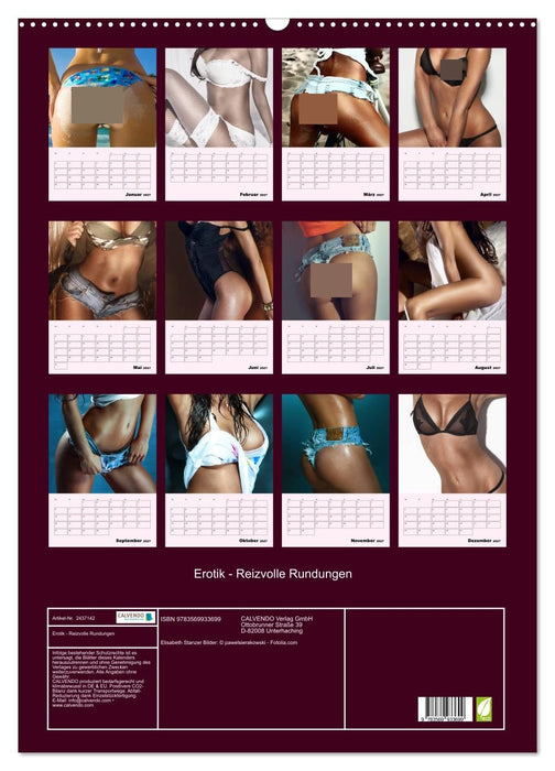 Erotik - Reizvolle Rundungen (CALVENDO Wandkalender 2027)