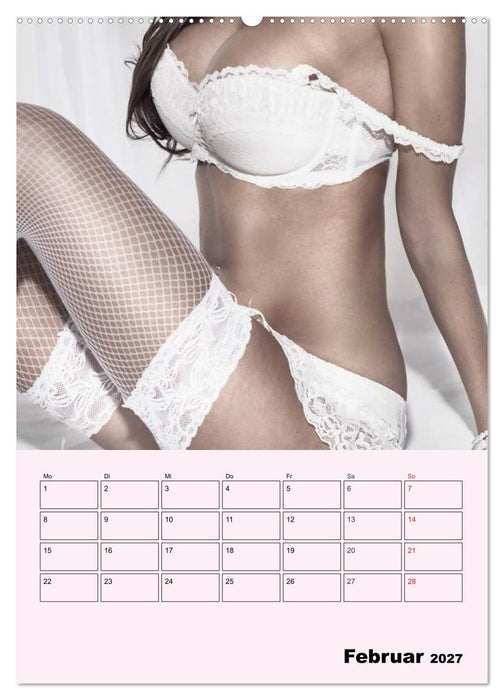 Erotik - Reizvolle Rundungen (CALVENDO Wandkalender 2027)