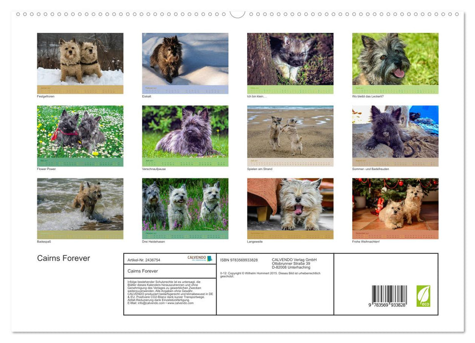 Cairns Forever (CALVENDO Premium Wandkalender 2027)