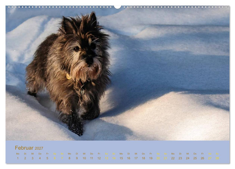 Cairns Forever (CALVENDO Premium Wandkalender 2027)