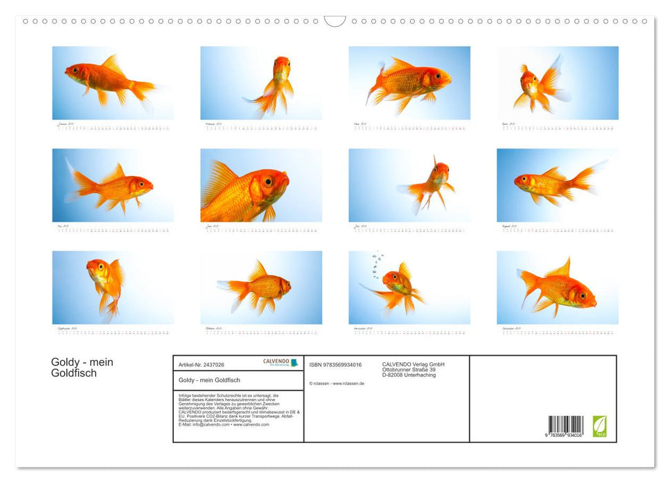 Goldy - mein Goldfisch (CALVENDO Wandkalender 2027)