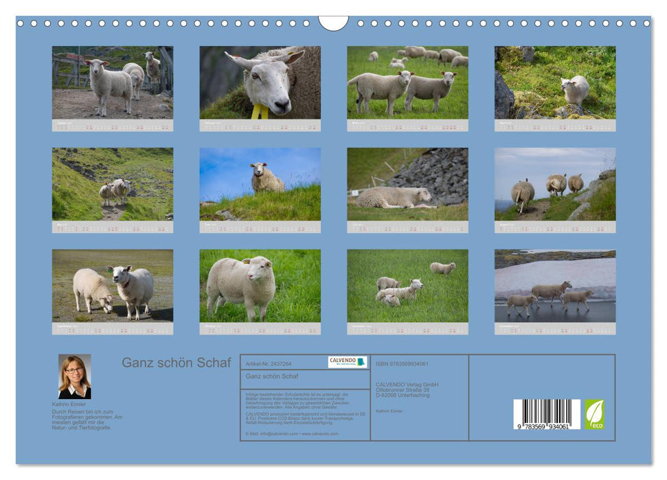 Ganz schön Schaf (CALVENDO Wandkalender 2027)