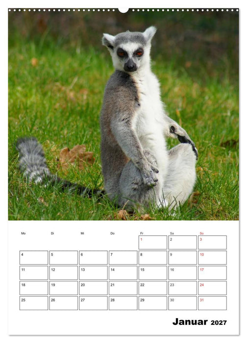 Katta Terminplaner (CALVENDO Premium Wandkalender 2027)