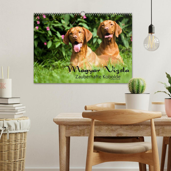 Magyar Vizsla - Zauberhafte Kobolde (CALVENDO Wandkalender 2027)