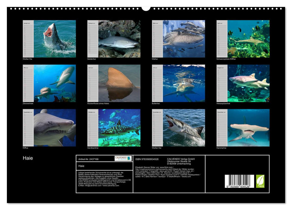Haie (CALVENDO Premium Wandkalender 2027)