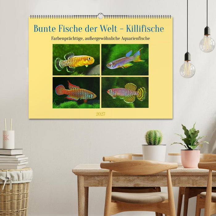 Bunte Fische der Welt - Killifische (CALVENDO Wandkalender 2027)