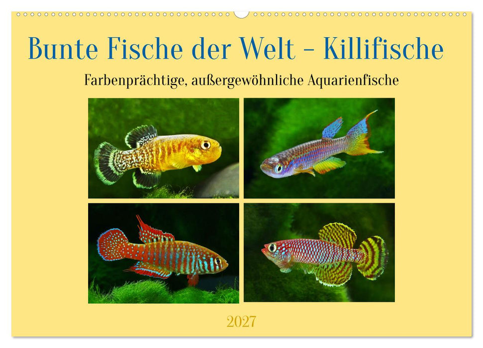 Bunte Fische der Welt - Killifische (CALVENDO Wandkalender 2027)