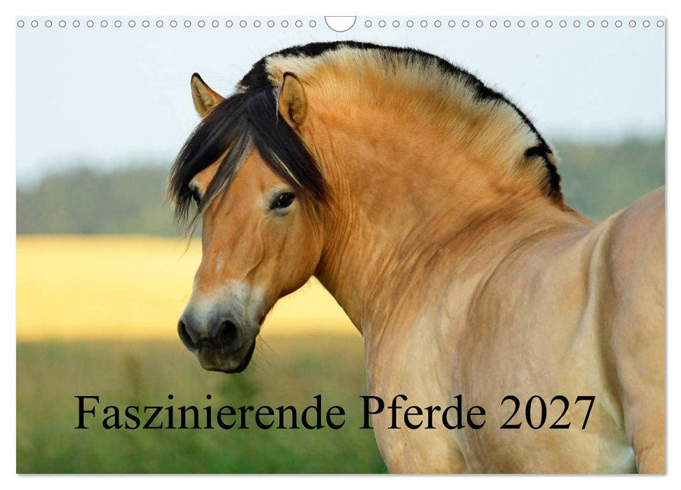 Faszinierende Pferde 2027 (CALVENDO Wandkalender 2027)