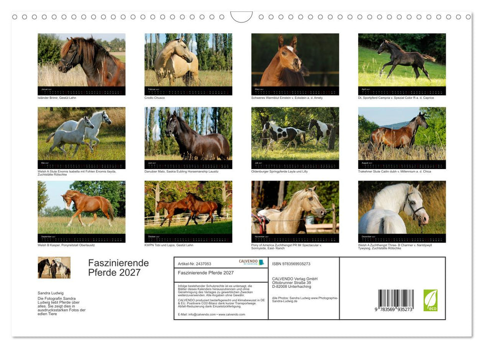 Faszinierende Pferde 2027 (CALVENDO Wandkalender 2027)