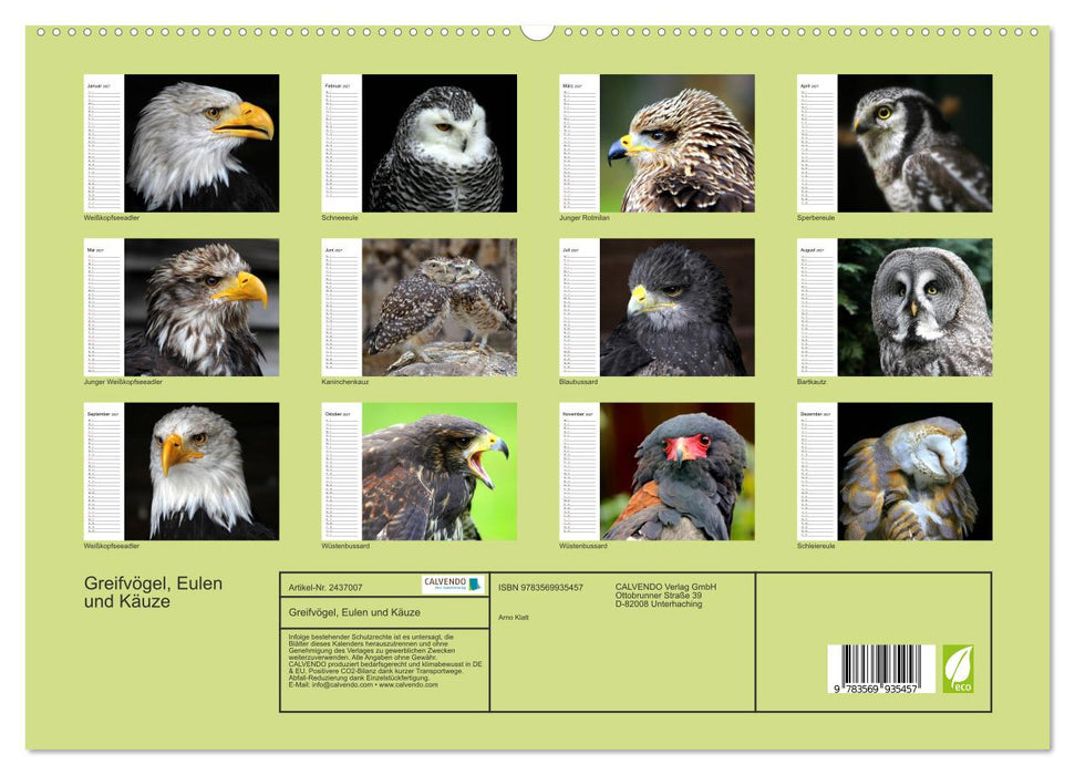 Greifvögel, Eulen und Käuze (CALVENDO Premium Wandkalender 2027)