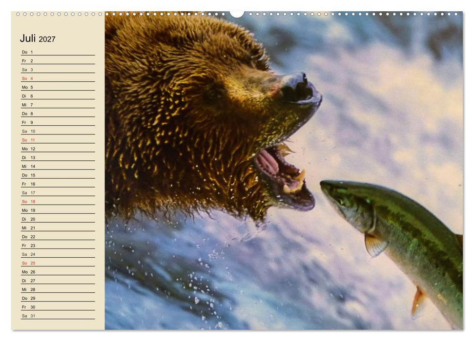 Bären (CALVENDO Premium Wandkalender 2027)