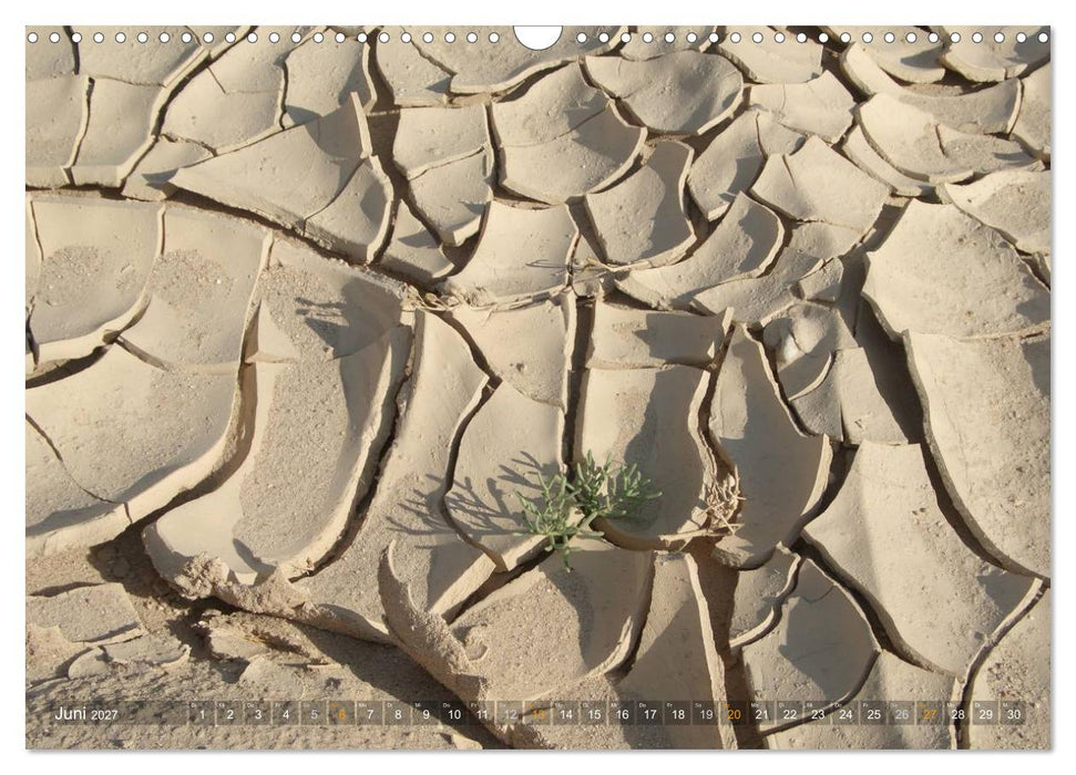 Impressionen Kameltrekking Sinai 2027 (CALVENDO Wandkalender 2027)