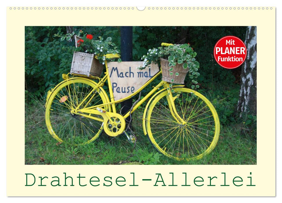 Drahtesel-Allerlei (CALVENDO Wandkalender 2027)