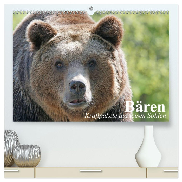 Bären. Kraftpakete auf leisen Sohlen (CALVENDO Premium Wandkalender 2027)
