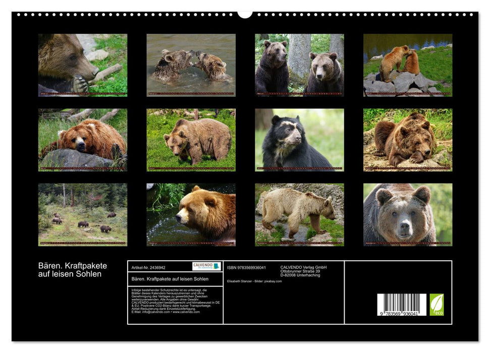 Bären. Kraftpakete auf leisen Sohlen (CALVENDO Premium Wandkalender 2027)