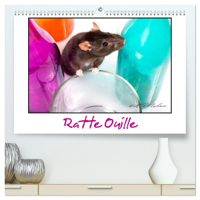 Ratte Ouille (CALVENDO Calendrier supérieur 2027)