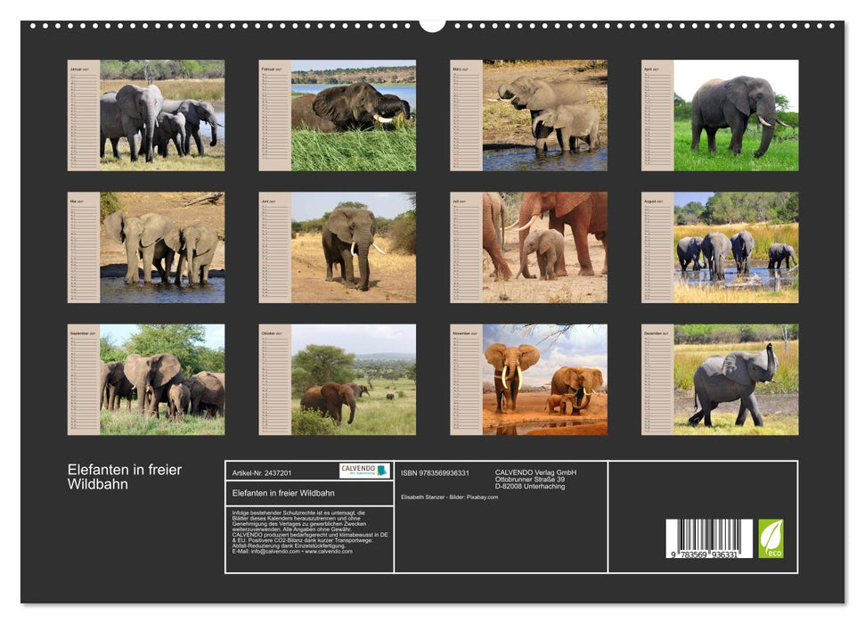 Elefanten in freier Wildbahn (CALVENDO Premium Wandkalender 2027)
