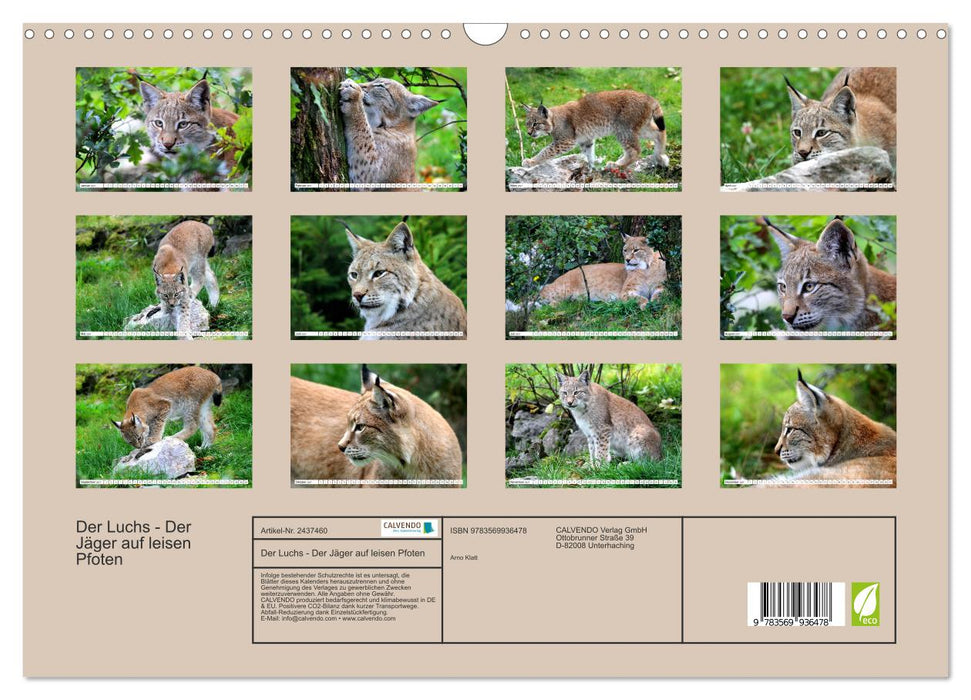 Der Luchs - Der Jäger auf leisen Pfoten (CALVENDO Wandkalender 2027)