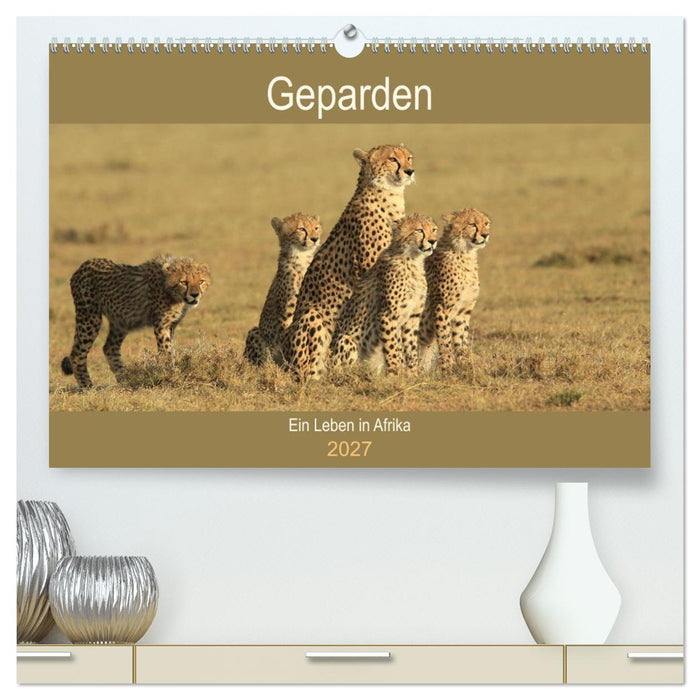Geparden - Ein Leben in Afrika (CALVENDO Premium Wandkalender 2027)