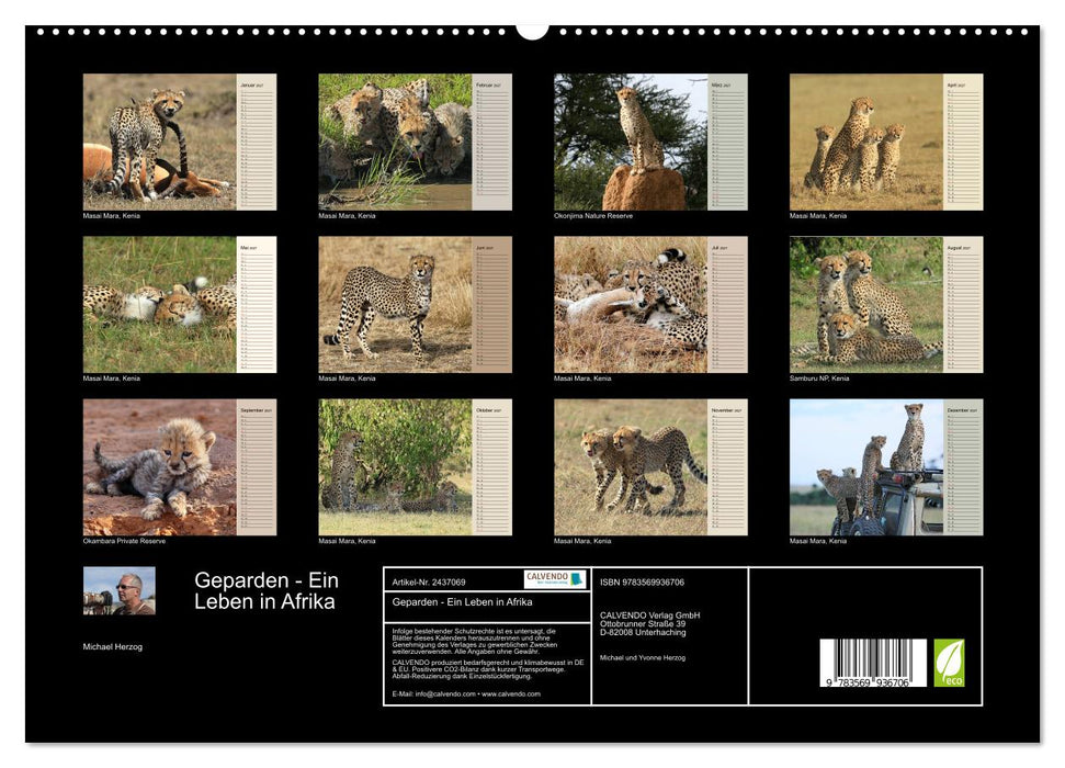Geparden - Ein Leben in Afrika (CALVENDO Premium Wandkalender 2027)