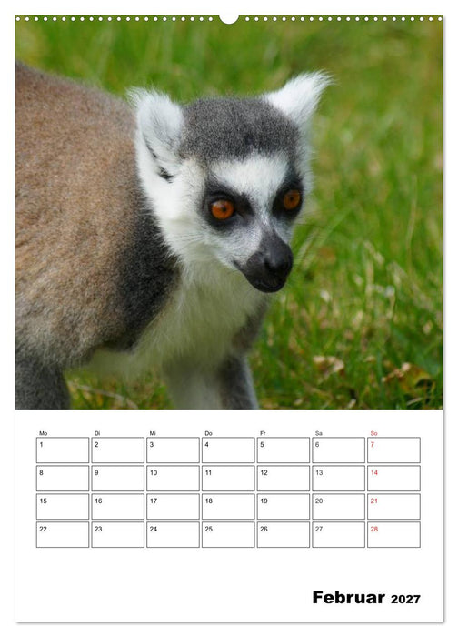 Katta Terminplaner (CALVENDO Wandkalender 2027)