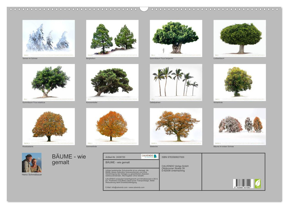 BÄUME - wie gemalt (CALVENDO Wandkalender 2027)
