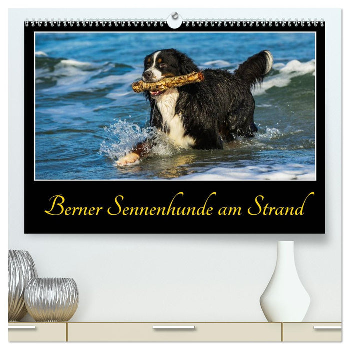 Berner Sennenhunde am Strand (CALVENDO Premium Wandkalender 2027)