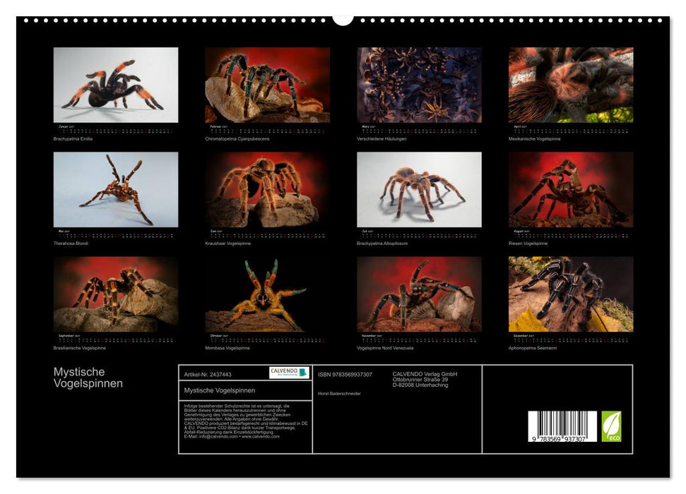 Mystische Vogelspinnen (CALVENDO Premium Wandkalender 2027)
