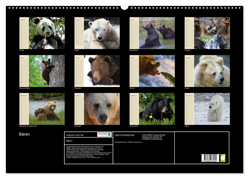 Bären (CALVENDO Wandkalender 2027)