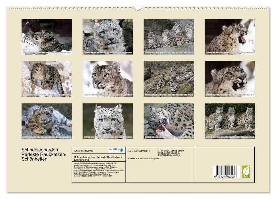Schneeleoparden. Perfekte Raubkatzen-Schönheiten (CALVENDO Premium Wandkalender 2027)