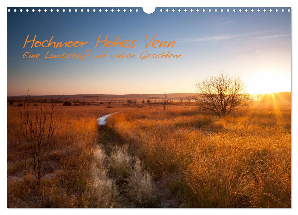 Hochmoor Hohes Venn (CALVENDO Wandkalender 2027)