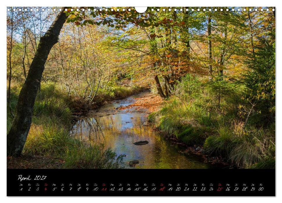 Hochmoor Hohes Venn (CALVENDO Wandkalender 2027)