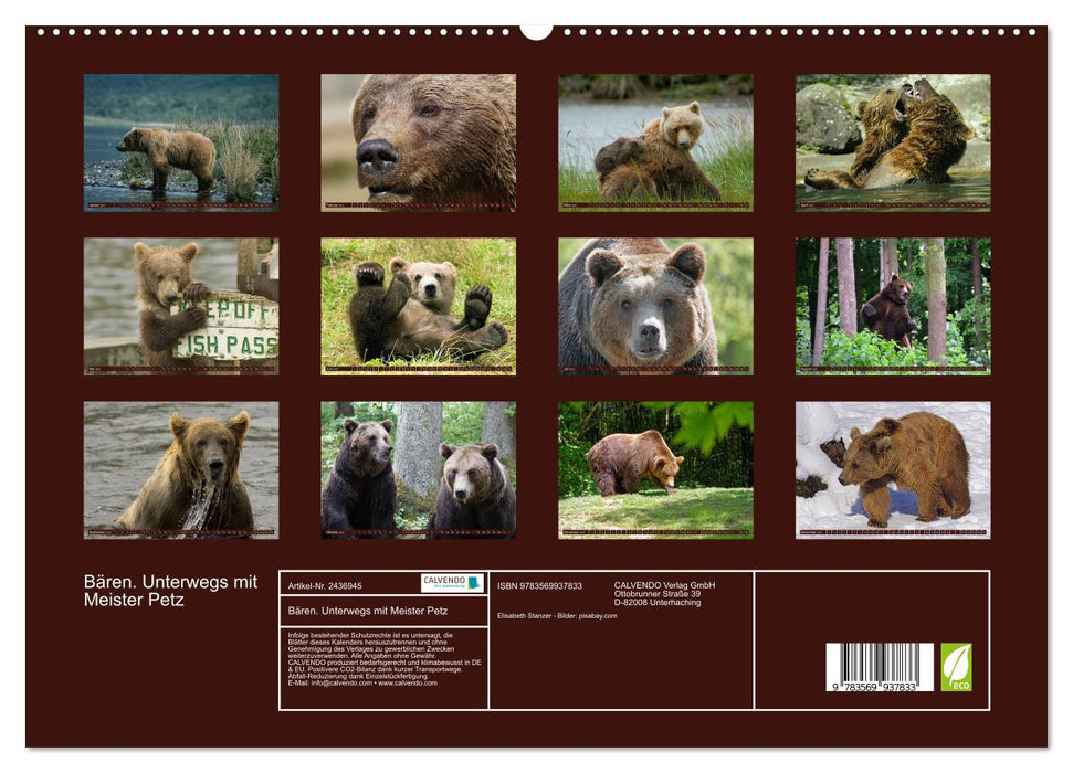 Bären. Unterwegs mit Meister Petz (CALVENDO Premium Wandkalender 2027)