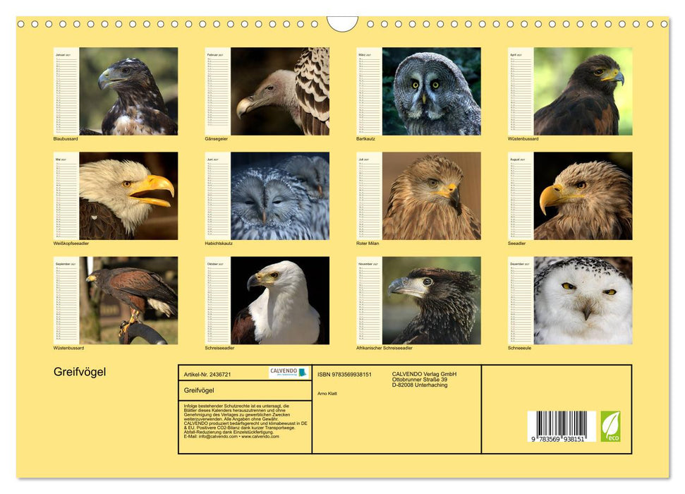 Greifvögel (CALVENDO Wandkalender 2027)