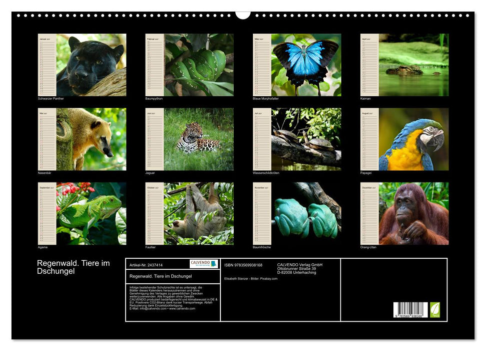 Regenwald. Tiere im Dschungel (CALVENDO Wandkalender 2027)