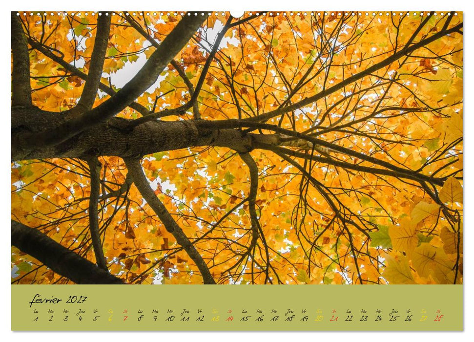Un automne au Bois (CALVENDO Calendrier supérieur 2027)