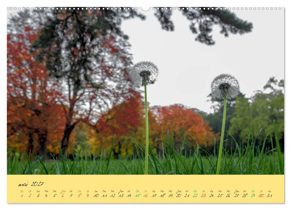 Un automne au Bois (CALVENDO Calendrier supérieur 2027)