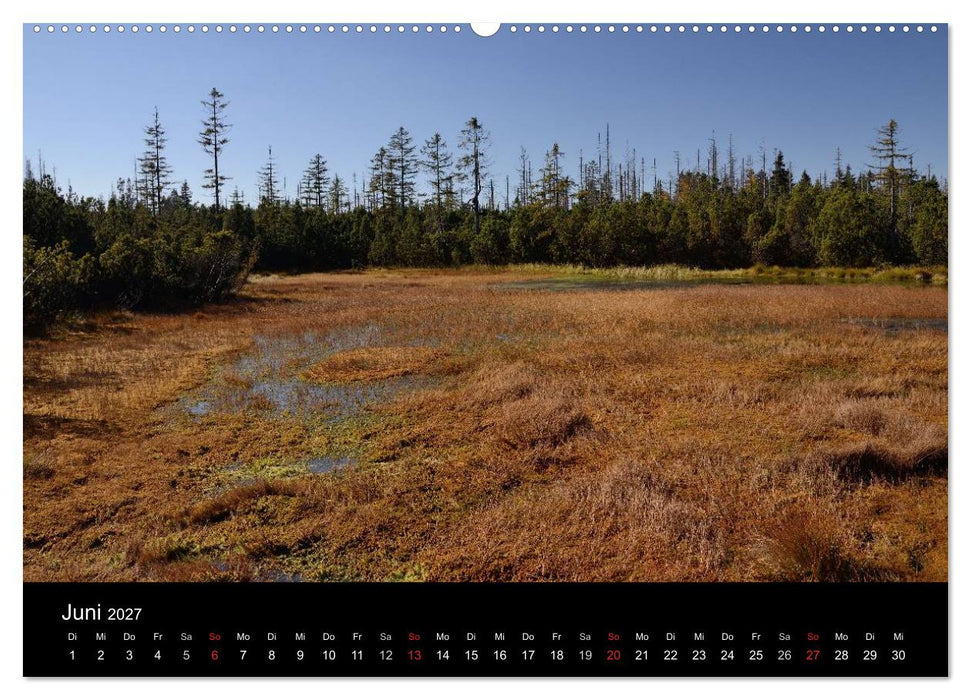 Zauberhafter Bayerischer Wald (CALVENDO Wandkalender 2027)