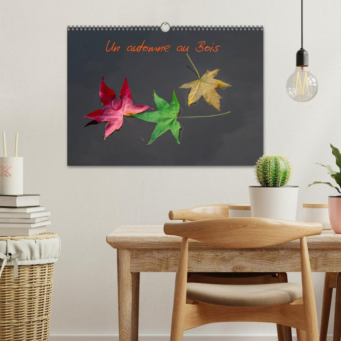 Un automne au Bois (CALVENDO Calendrier mensuel 2027)